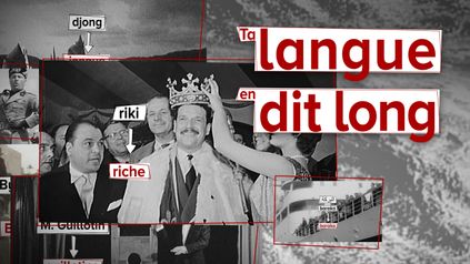 Ta langue en dit long