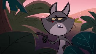 The raccoon
