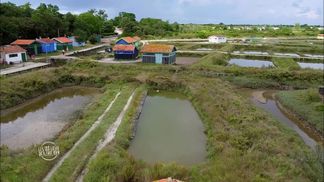 Las islas del Atlántico, de Vendée a Charente-Maritime