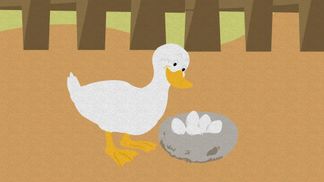Le vilain petit canard