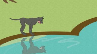 Le chien et le reflet