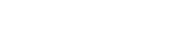 بريجيت روسيه