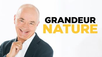 Grandeur nature