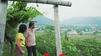In den Weinbergen des Mendrisiotto