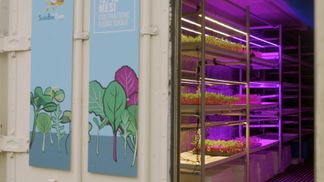 An experiment in peri-urban cultivation in Bologna