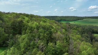 The national forest reserve in the Grand Est region