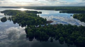 The Orient Forest nature reserve, in the Aube