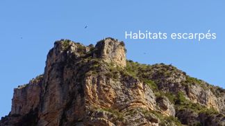 The Baronnies provençales, an exceptional natural setting