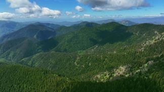 The Mercantour forest: preserving a remarkable natural environment
