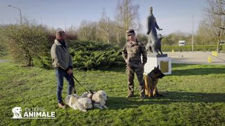 Cu instructorii de câini ai regimentului cinotehnic
