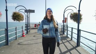 Travel journals