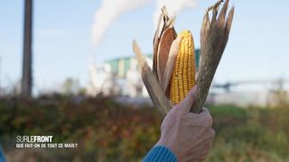 What do we do with all this corn?