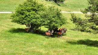 The Monts d'Azur reserve