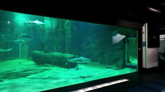 Seaquarium Marine Institute