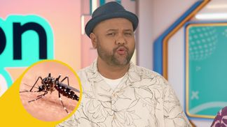 ¿Por qué preocupa el mosquito tigre?